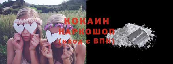 дурь Каменка