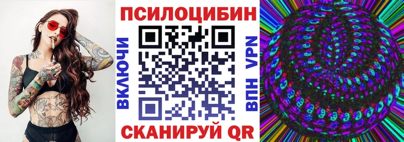 Купить где  Кыштым  Галлюциногенные грибы Psilocybe 