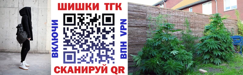 Марихуана план  Купить  Кыштым 